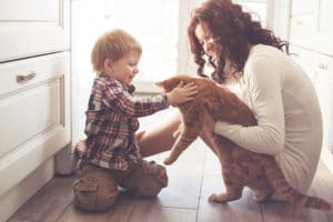 Estate Planning for your Beloved Pets